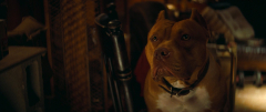 Once-Upon-a-Time-in-Hollywood-2019-stills-10