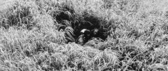 Onibaba-1964-stills-01