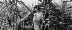Onibaba-1964-stills-17