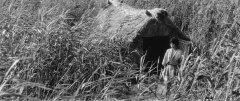 Onibaba-1964-stills-38