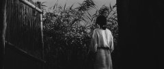 Onibaba-1964-stills-41