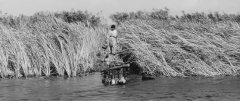 Onibaba-1964-stills-46