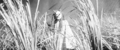 Onibaba-1964-stills-49