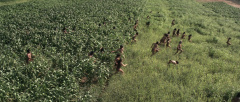 The-Planet-of-the-Apes-1968-stills-11