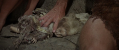The-Planet-of-the-Apes-1968-stills-49