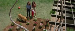 Poltergeist-1982-stills-08