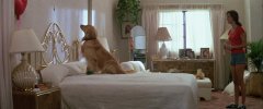 Poltergeist-1982-stills-17
