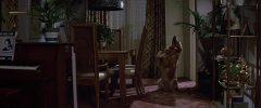 Poltergeist-1982-stills-27