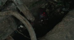 Predator-1987-stills-042