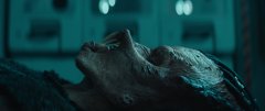 Predator-Badlands-2025-stills-36