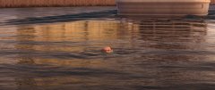 Ratatouille-2007-stills-40