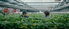 The-Call-2020-stills-07