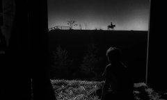 The-Night-of-the-Hunter-1955-stills-40