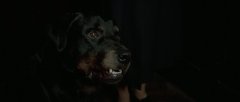 The-Omen-1976-stills-20
