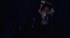 The-Texas-Chain-Saw-Massacre-1974-stills-36