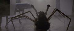The-Thing-1982-stills-041