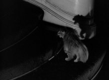 The-Uninvited-1944-stills-17