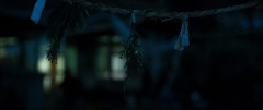 The-Wailing-2016-stills-51