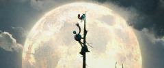 The-Wild-Robot-2024-stills-09