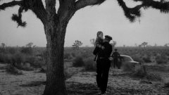 Them-1954-stills-03