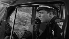 Them-1954-stills-08