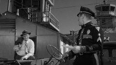Them-1954-stills-15
