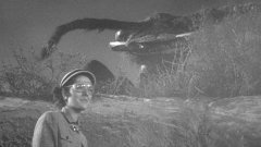 Them-1954-stills-21
