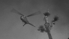 Them-1954-stills-23