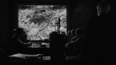 Them-1954-stills-33