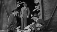 Them-1954-stills-40