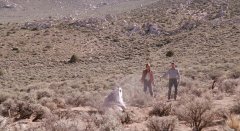 Tremors-1990-stills-51