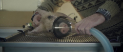 Upstream-Color-2013-stills-16