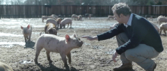 Upstream-Color-2013-stills-27
