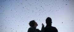 Upstream-Color-2013-stills-44