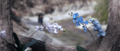 Upstream-Color-2013-stills-49