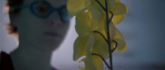 Upstream-Color-2013-stills-52